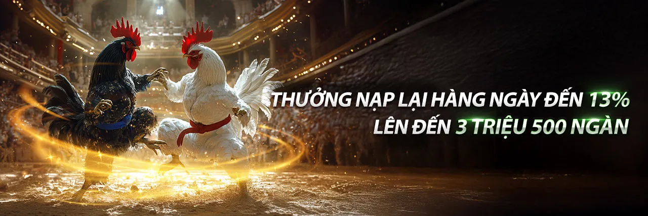 Hình ảnh minh họa cách kèo nha cai 5 sử dụng dữ liệu