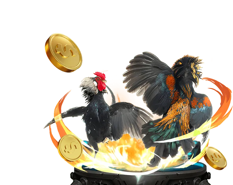 Hình ảnh minh họa các câu hỏi thường gặp về kèo nhà cái 5